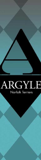 Argyle Norfolks
